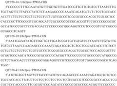 Figure PCTCN2022090268-appb-000183