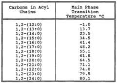 Figure imgf000028_0001