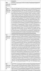 Figure BDA0004033970230006251