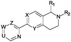 Figure BDA0001455166200000041