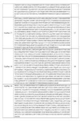 Figure imgf000054_0001