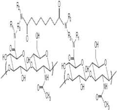 Figure imgf000021_0001