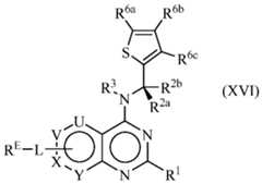 Figure imgf000046_0001