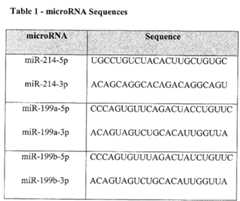 Figure imgf000019_0001
