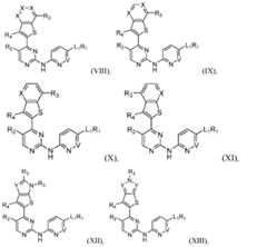 Figure 2023543433000333