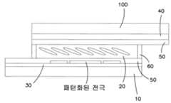 Figure 112009019272318-PCT00002