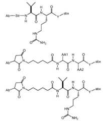 Figure pct00062