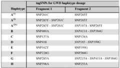 Figure imgf000032_0001