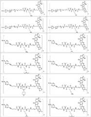 Figure PCTCN2022073822-appb-100117