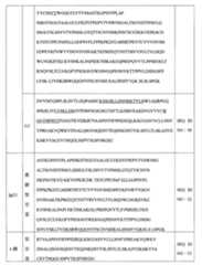 Figure 110114174-A0101-12-0040-24