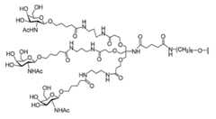 Figure 2023012548000943