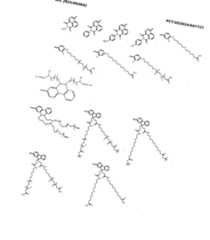 Figure imgf000024_0001