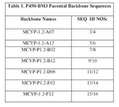 Figure imgf000027_0001