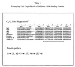 Figure imgf000018_0001