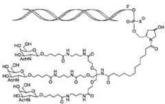 Figure 107123784-A0305-02-0241-8
