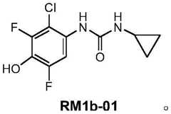Figure FDA0003795483310000072