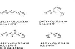 Figure BPA00001701189600301