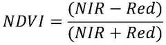 Figure GDA0003921285800000041