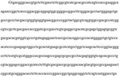 Figure PCTCN2021139177-appb-000008