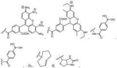 Figure BDA0003670511740002001