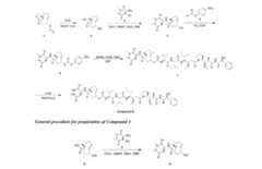 Figure imgf000161_0001