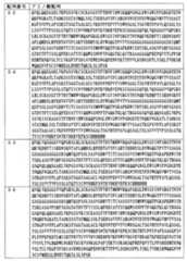 Figure JPOXMLDOC01-appb-T000010