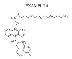 Figure imgf000063_0002