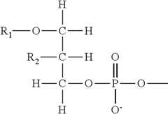 Figure US08383787-20130226-C00053