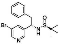 Figure BDA0003236274780001331