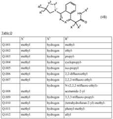 Figure imgf000025_0001