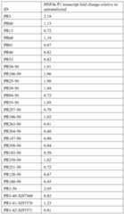 Figure imgf000094_0001