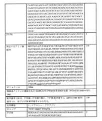 Figure 0007438604000080