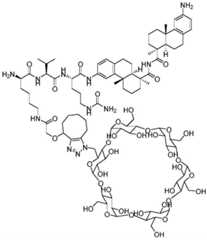 Figure BDA0002889616220002731