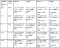 Figure imgf000244_0001