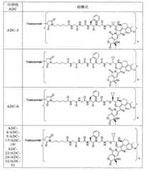 Figure 110110878-A0101-12-0024-23
