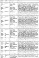 Figure imgf000061_0001