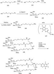 Figure BDA0003018192690004041