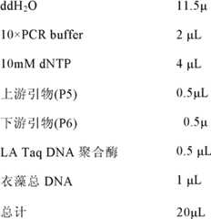 Figure BDA0000101793150000103