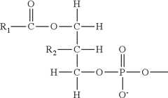 Figure US08383787-20130226-C00041