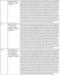 Figure imgf000162_0001