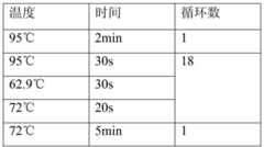 Figure BDA0000450153140000141