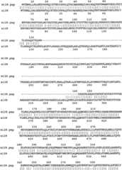 Figure A9981410800791