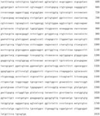 Figure IDA00001723357100731