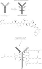 Figure US11873339-20240116-C00051