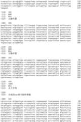 Figure IDA0002536600790000791