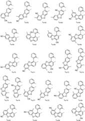 Figure FDA0001964607630000161