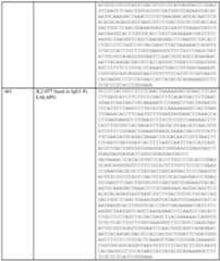 Figure imgf000294_0001