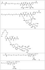 Figure BDA0002889616220000881