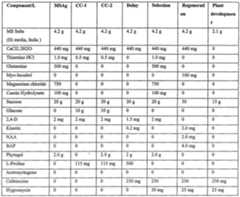 Figure imgf000038_0001