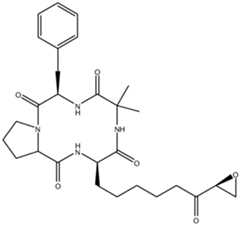 Figure imgf000091_0002